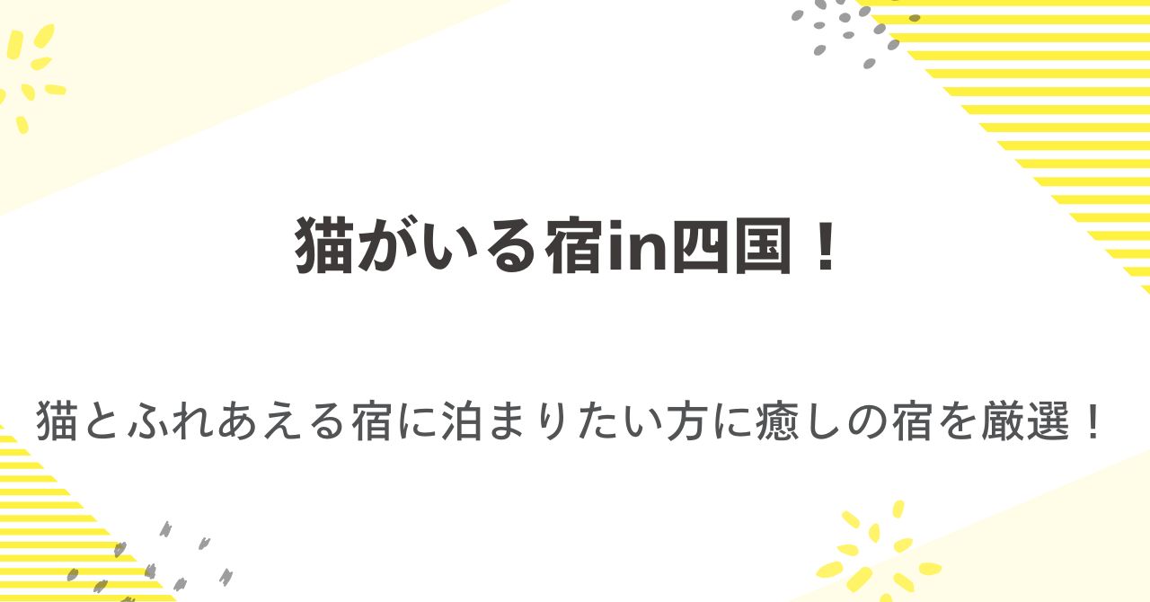 猫がいる宿in四国！猫とふれあえる宿に泊まってみたい方に癒しの宿を厳選！