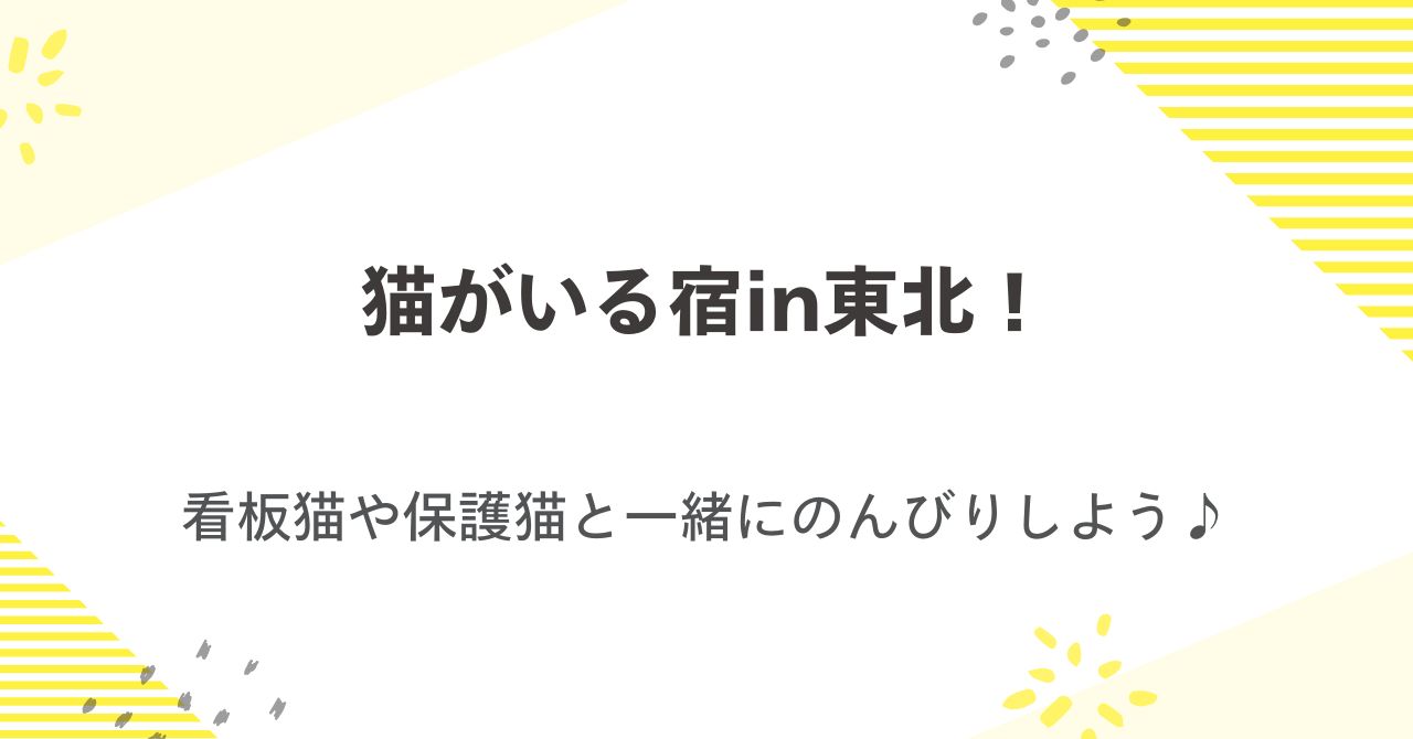 猫がいる宿in東北！看板猫や保護猫と一緒にのんびりしよう♪