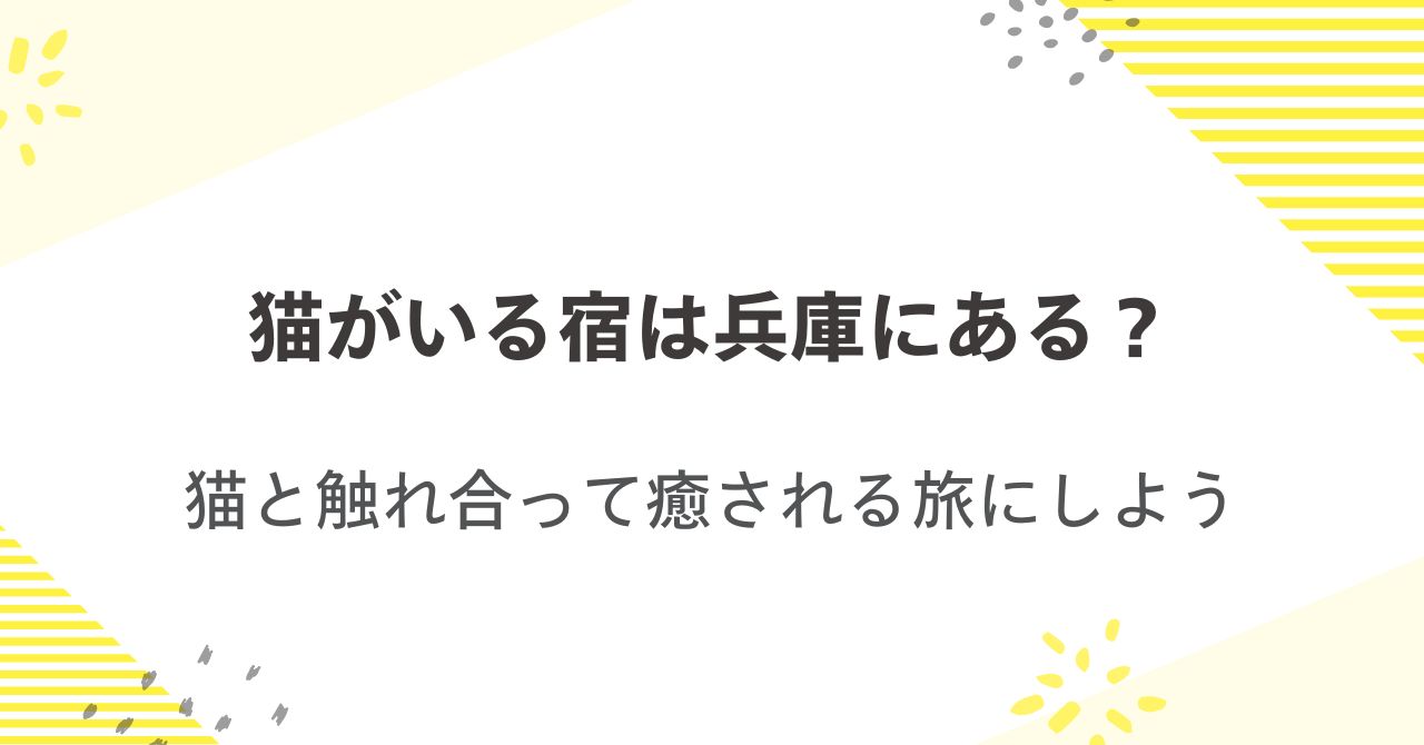 猫がいる宿は兵庫にある？猫と触れ合って癒される旅にしよう
