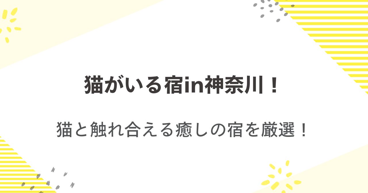 猫がいる宿in神奈川！猫と触れ合える癒しの宿を厳選！