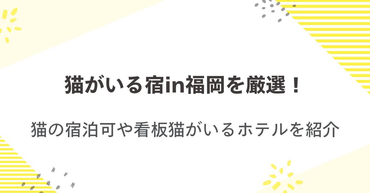 猫がいる宿in福岡を厳選！猫の宿泊可や看板猫がいるホテルを紹介