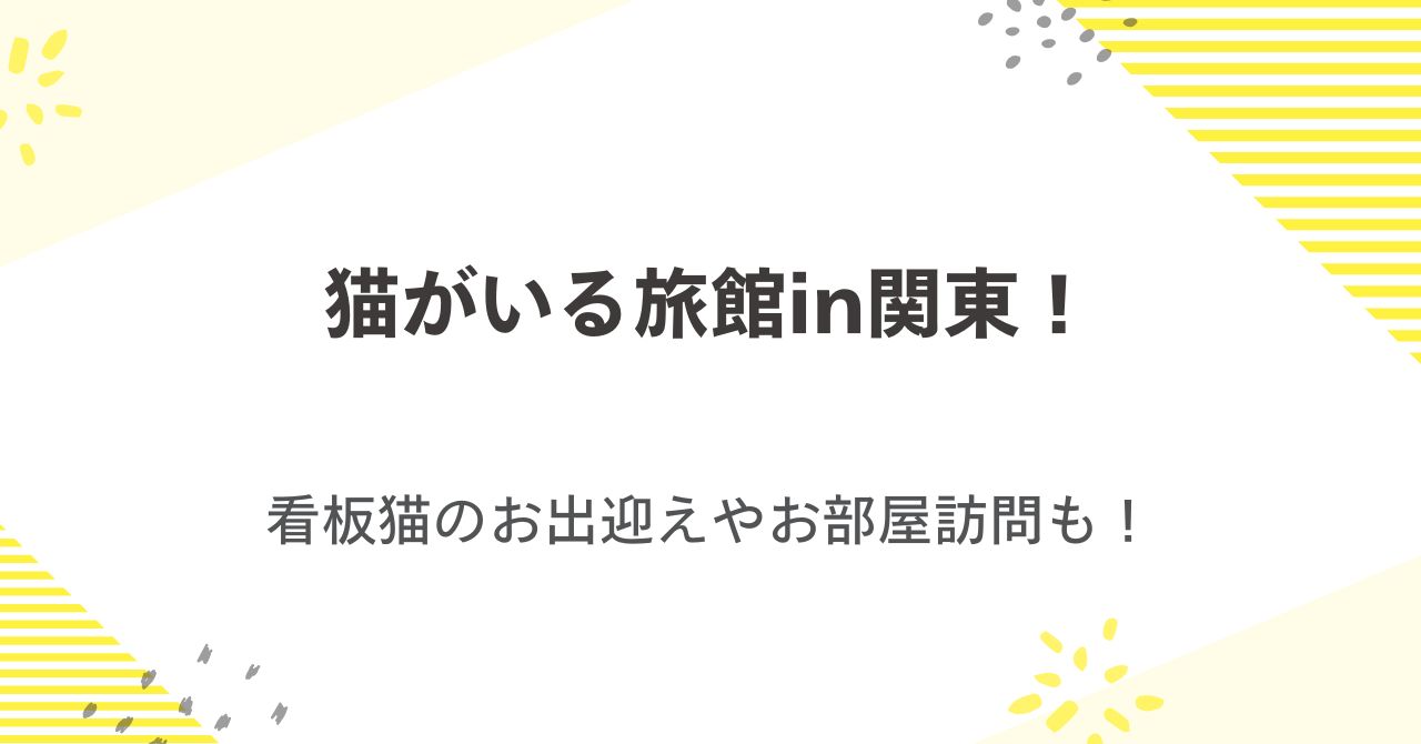 猫がいる旅館in関東を厳選！看板猫のお出迎えやお部屋訪問も！